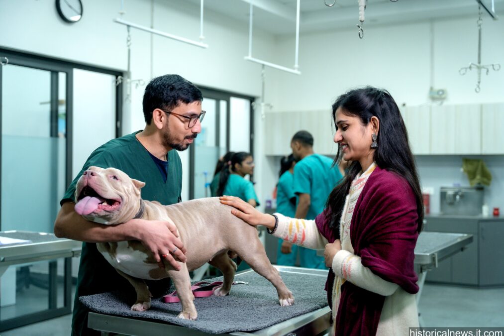 Find the Best Vet Near Me: A Comprehensive Guide to Locating Top-Rated Veterinary Clinics